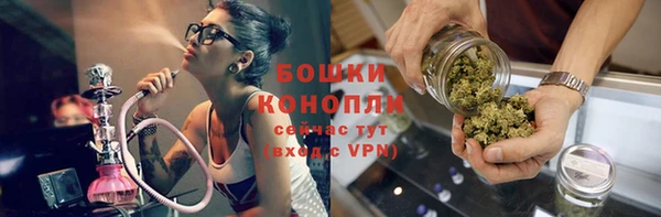 PSILOCYBIN Абаза