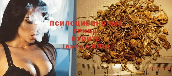 PSILOCYBIN Абаза