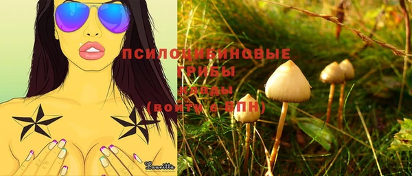 винт Абинск