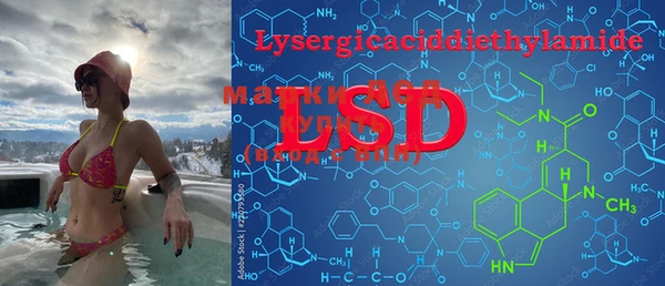 PSILOCYBIN Абаза