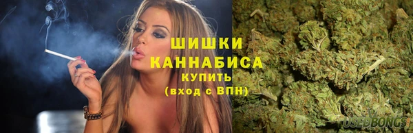 PSILOCYBIN Абаза