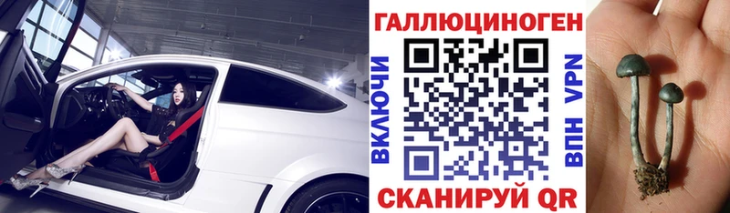 Галлюциногенные грибы Magic Shrooms гидра рабочий сайт Фокино